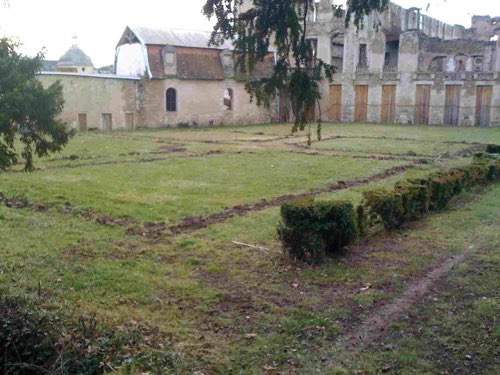 Dessin du potager de buis