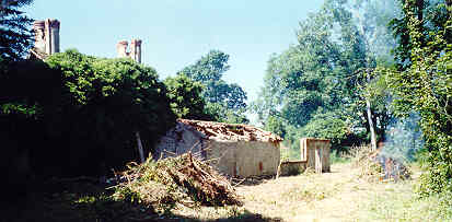Juin 1996 : Défrichage