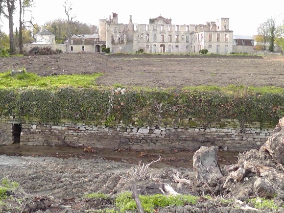 Perspective du parc : plateforme